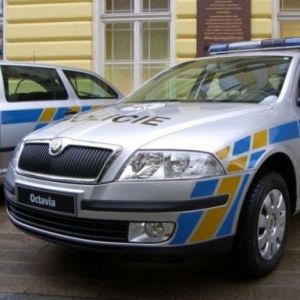 День с полицией