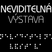 Neviditelná výstava - Невидимая выставка!