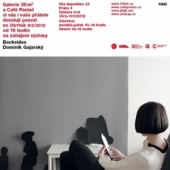 BACKSIDES - Dominik Gajarský 