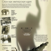 Интерактивный Медиа-форум (с IV Петербургского форума соотечественников 2011)