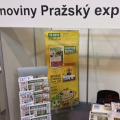 Приглашаем на выставку в Летнянах